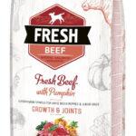 Brit Fresh Szczenięta Duże Wołowina Dynia 12kg