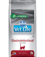 Karma Farmina Vet Life Gastrointestinal dla kotów 5kg