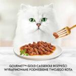 Purina Gourmet Gold: Kaczka i Indyk w Sosie - obrazek 5
