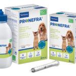 Virbac Pronefra 60ml Wsparcie Nerek