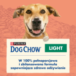Purina Dog Chow Light Adult Indyk 2,5kg - obrazek 2