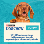 Purina Dog Chow Puppy Kurczak 14kg - obrazek 3