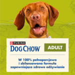 Purina Dog Chow Adult Kurczak 14kg - obrazek 2