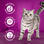 Whiskas Sterile Kurczak 1.4kg - obrazek 6