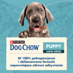 Purina Dog Chow Szczenięta Indyk 14kg - obrazek 3