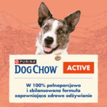 Purina Dog Chow Active Adult Kurczak 14kg - obrazek 3