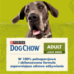 Purina Dog Chow Large Adult Indyk 14kg - obrazek 3