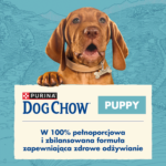 Purina Dog Chow Puppy z Jagnięciną 14kg - obrazek 3