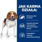 Hill's PD r/d Karma Odchudzająca 10kg - obrazek 4