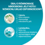 Purina One Coat & Hairball z Kurczakiem 800g - obrazek 3