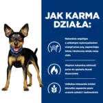 Hill's Metabolic Mini: Karma odchudzająca dla psów - obrazek 3