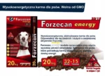 Forzecan Energy Karma Wysokoenergetyczna 20kg - obrazek 3