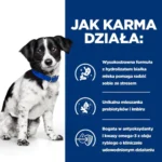 Hill's i/d Stress Mini Karma Weterynaryjna 3kg - obrazek 5