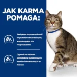 Hill's s/d Urinary Care dla kota 3kg - obrazek 3