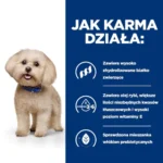 Hill's z/d Mini dla Psów Wrażliwych 1kg - obrazek 4