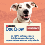 Purina Dog Chow Sensitive Łosoś 14kg - obrazek 3