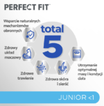 Karma dla Kociąt IttenFit Junior Kurczak 7kg - obrazek 4