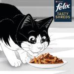 Felix Tasty Shreds Karma dla Kota Kaczka Indyka 4x80g - obrazek 5