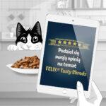 Felix Tasty Shreds Karma dla Kota Kaczka Indyka 4x80g - obrazek 6