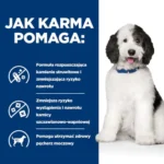 Hill's C/D Urinary Care dla Psów 1,5kg - obrazek 5