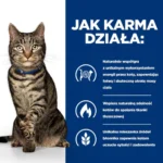 Hill's Metabolic Feline dla kota 3kg - obrazek 4