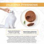 Purina Gourmet Gold Mus Wołowina 85g - obrazek 9