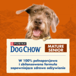 PURINA Dog Chow Senior Jagnięcina 14kg - obrazek 3