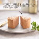 Purina Gourmet Gold Mus z Kurczakiem - obrazek 6