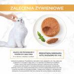 Purina Gourmet Gold Mus z Kurczakiem - obrazek 9