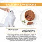 Purina Gourmet Gold Pasztet Królik 85g - obrazek 8