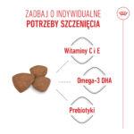 Royal Canin Mini Puppy 800g Karma - obrazek 2