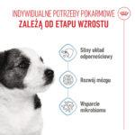 Royal Canin Mini Puppy 800g Karma - obrazek 3