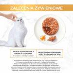 Gourmet Gold Savoury Cake Kurczak Marchewka - obrazek 8