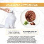 Purina Gourmet Gold Savoury Cake Jagnięcina 85g - obrazek 8
