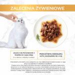 Purina Gourmet Gold Wołowina w Sosie 85g - obrazek 8