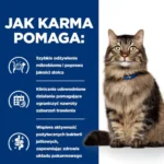 Hill's Gastrointestinal Biome Karma dla Kota 3kg - obrazek 5