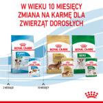 Royal Canin Mini Puppy Mokra Karma - obrazek 10
