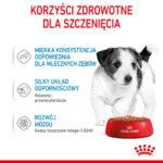 Royal Canin Mini Puppy Mokra Karma - obrazek 6