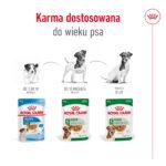 ROYAL CANIN Mini Adult Mokra Karma - obrazek 6