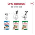 ROYAL CANIN Mini Ageing 12+ Mokra Karma - obrazek 4