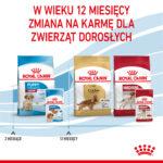 ROYAL CANIN Medium Puppy Saszetki 10x140g - obrazek 11