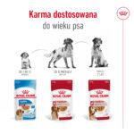 Royal Canin Medium Adult 10x140g Karma - obrazek 7