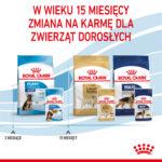 Royal Canin Maxi Puppy Mokra Karma - obrazek 11