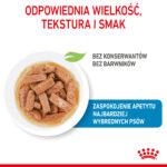 Royal Canin Maxi Puppy Mokra Karma - obrazek 6