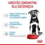 Royal Canin Maxi Puppy Mokra Karma - obrazek 7