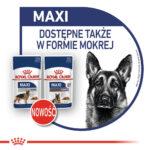 ROYAL CANIN Maxi Adult Karma Mokra - obrazek 12