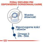 ROYAL CANIN Maxi Adult Karma Mokra - obrazek 7