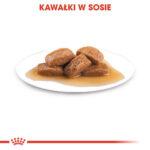 ROYAL CANIN Maxi Adult Karma Mokra - obrazek 8