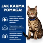 Hill's PD Feline t/d karma dentystyczna 3kg - obrazek 5