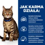 Hill's PD Feline t/d karma dentystyczna 3kg - obrazek 6